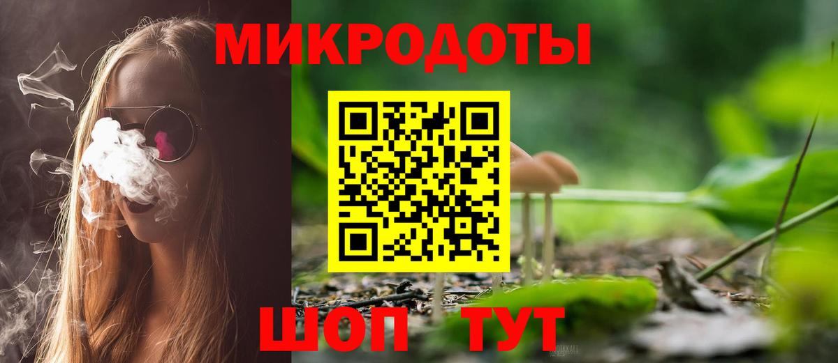 Псилоцибиновые грибы Psilocybine cubensis Владимир