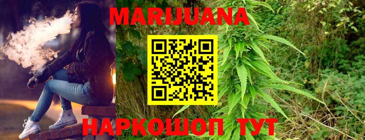Каннабис сатива Владимир